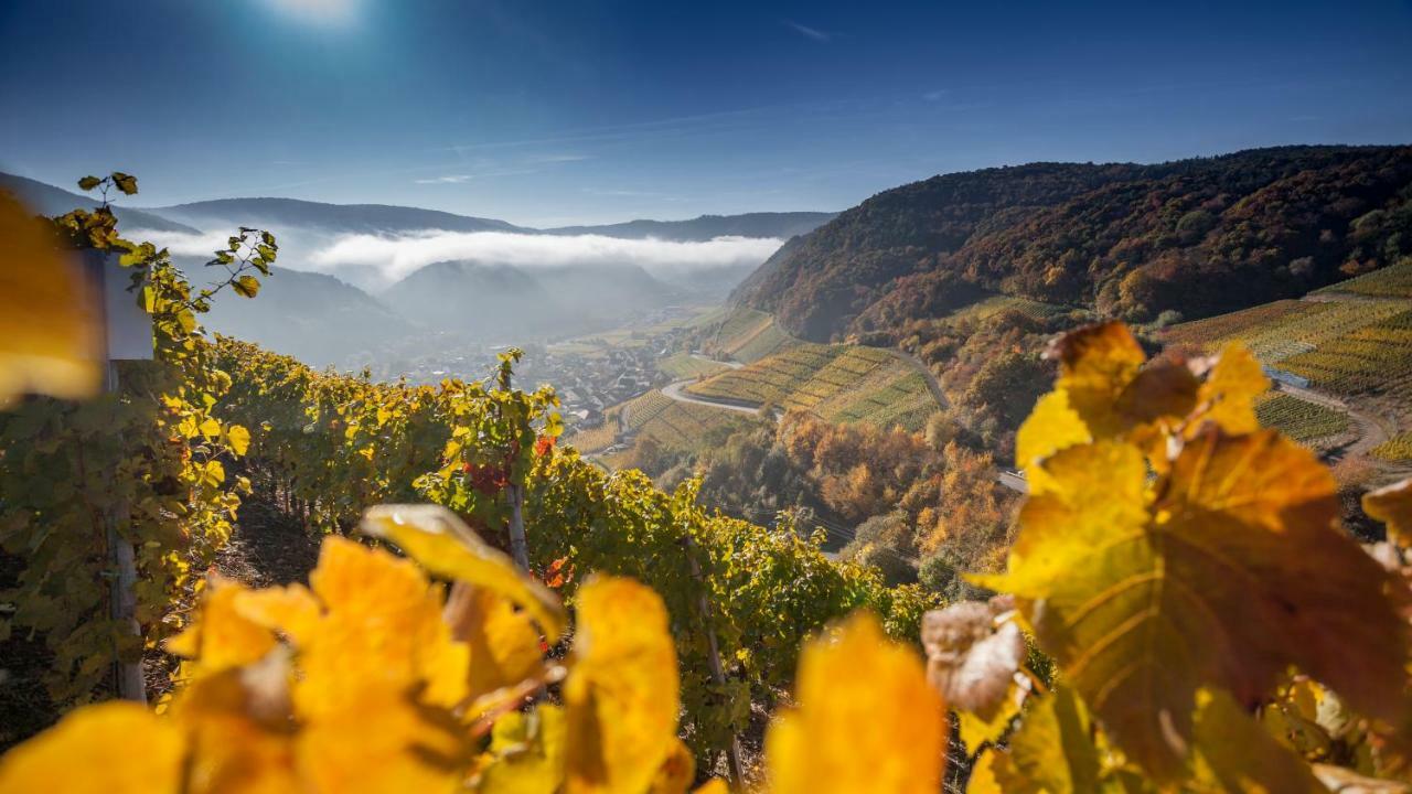 Ferienwohnung Hochgewaechs Bad Neuenahr-Ahrweiler Buitenkant foto