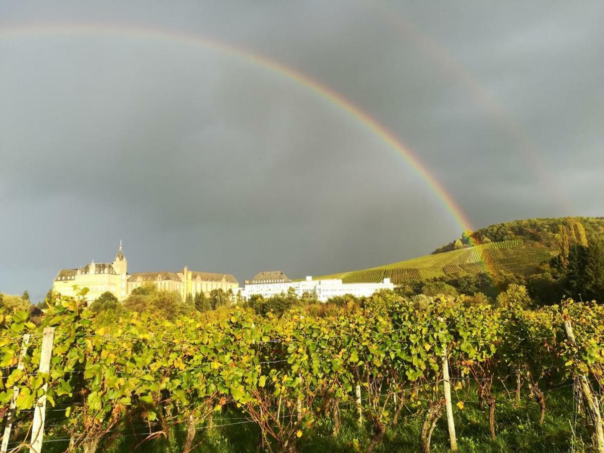 Ferienwohnung Hochgewaechs Bad Neuenahr-Ahrweiler Buitenkant foto